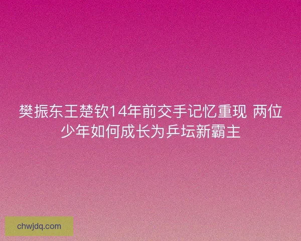 樊振东王楚钦14年前交手记忆重现 两位少年如何成长为乒坛新霸主